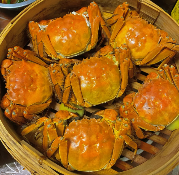 拉斯维加斯娱乐城