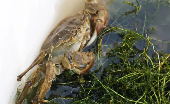 拉斯维加斯娱乐城