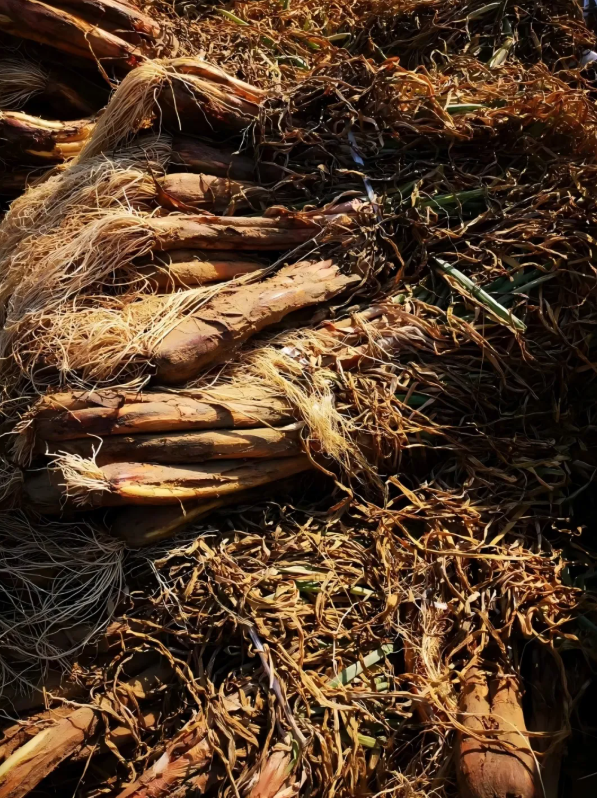 拉斯维加斯娱乐城