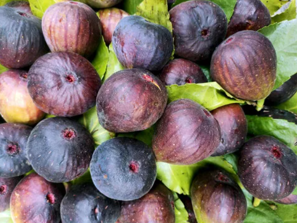 拉斯维加斯娱乐城