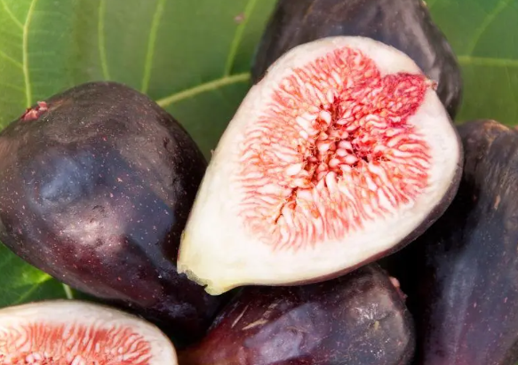 拉斯维加斯娱乐城