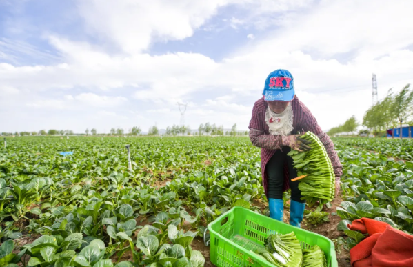 拉斯维加斯娱乐城