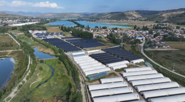 拉斯维加斯娱乐城