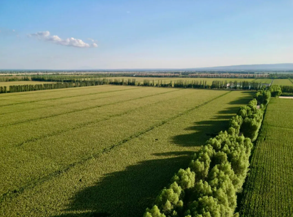 拉斯维加斯娱乐城