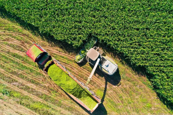 拉斯维加斯娱乐城