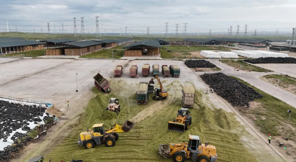 拉斯维加斯娱乐城