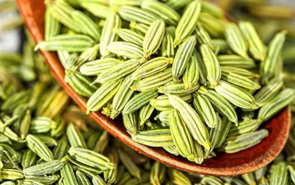 拉斯维加斯娱乐城