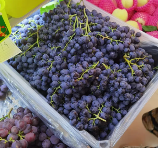 拉斯维加斯娱乐城