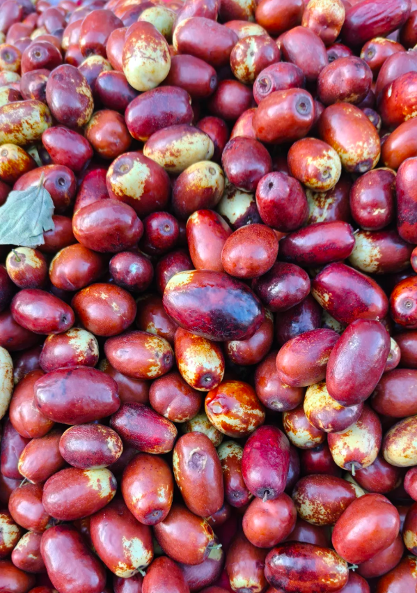 拉斯维加斯娱乐城