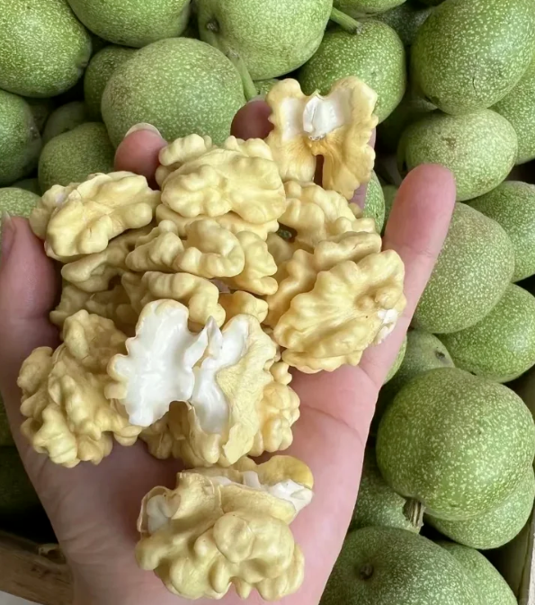 拉斯维加斯娱乐城