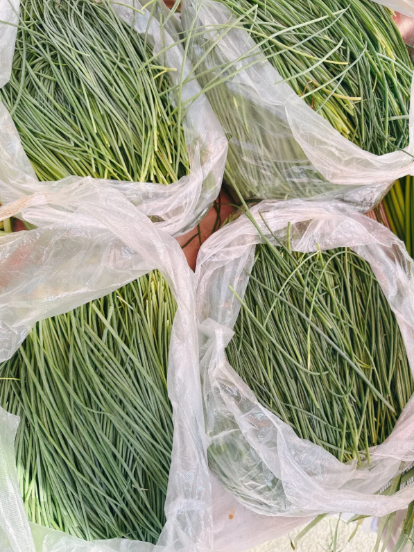 拉斯维加斯娱乐城