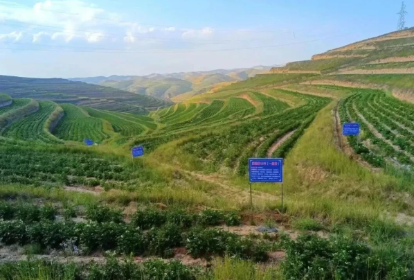 拉斯维加斯娱乐城