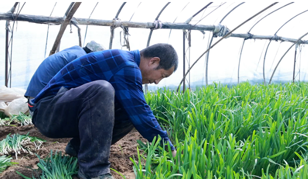 拉斯维加斯娱乐城