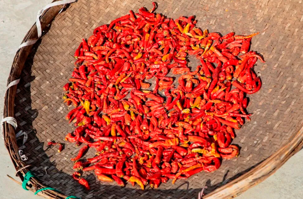 拉斯维加斯娱乐城