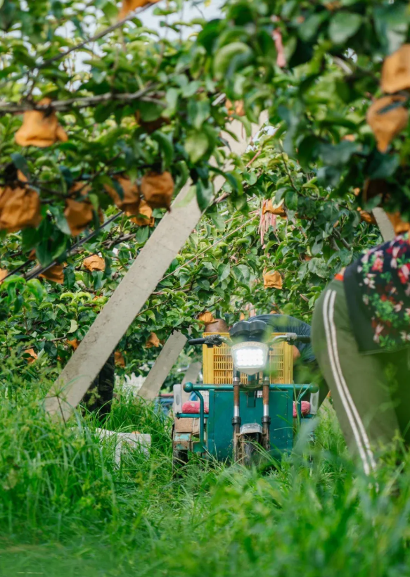 拉斯维加斯娱乐城