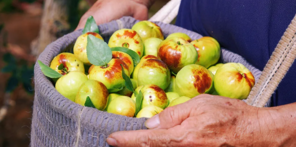 拉斯维加斯娱乐城