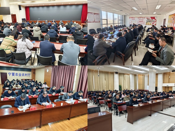 拉斯维加斯娱乐城