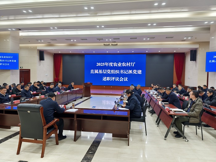 拉斯维加斯娱乐城