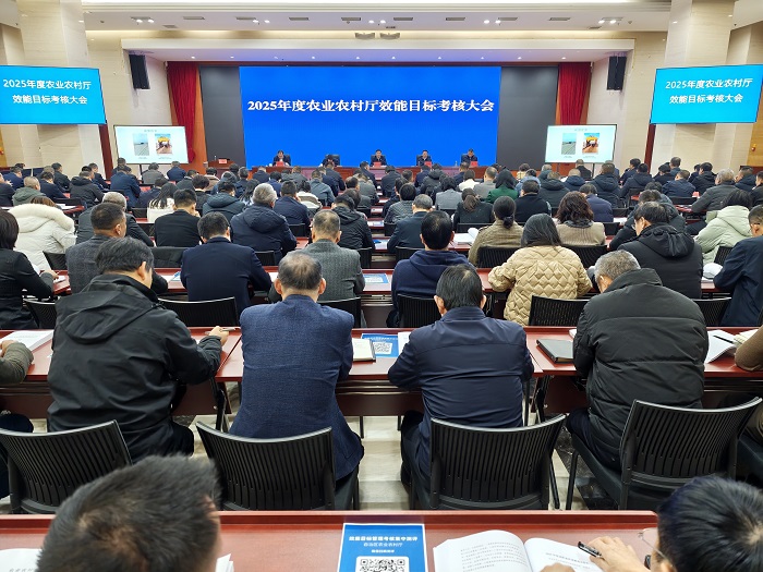 拉斯维加斯娱乐城