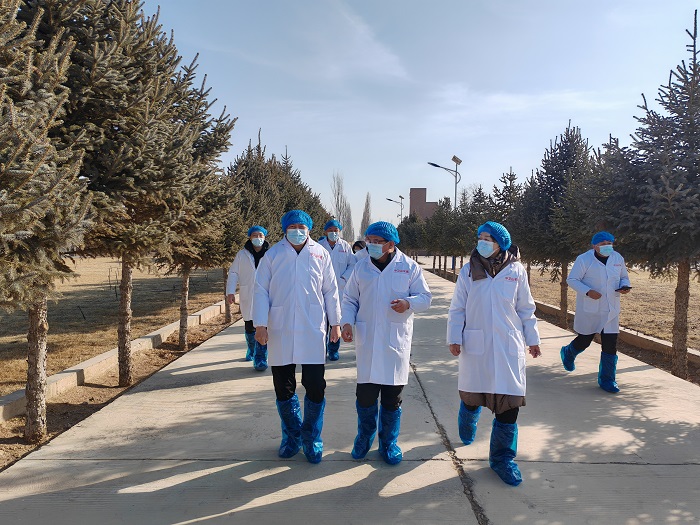 拉斯维加斯娱乐城