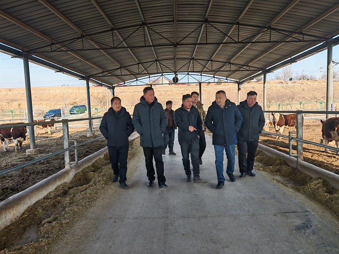 拉斯维加斯娱乐城