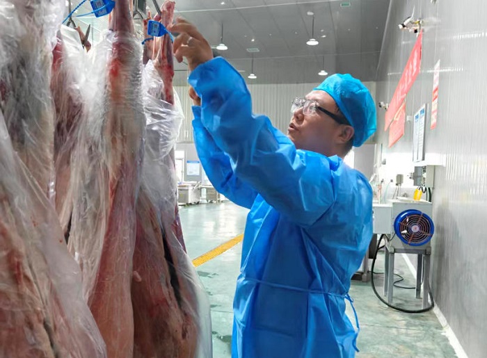 拉斯维加斯娱乐城