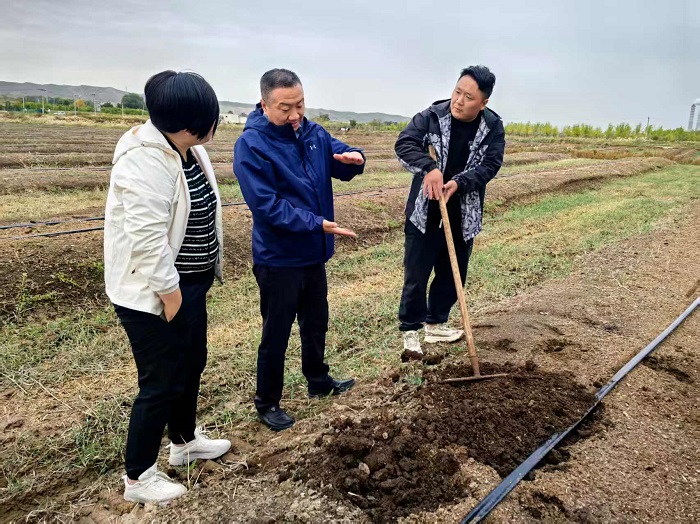 拉斯维加斯娱乐城