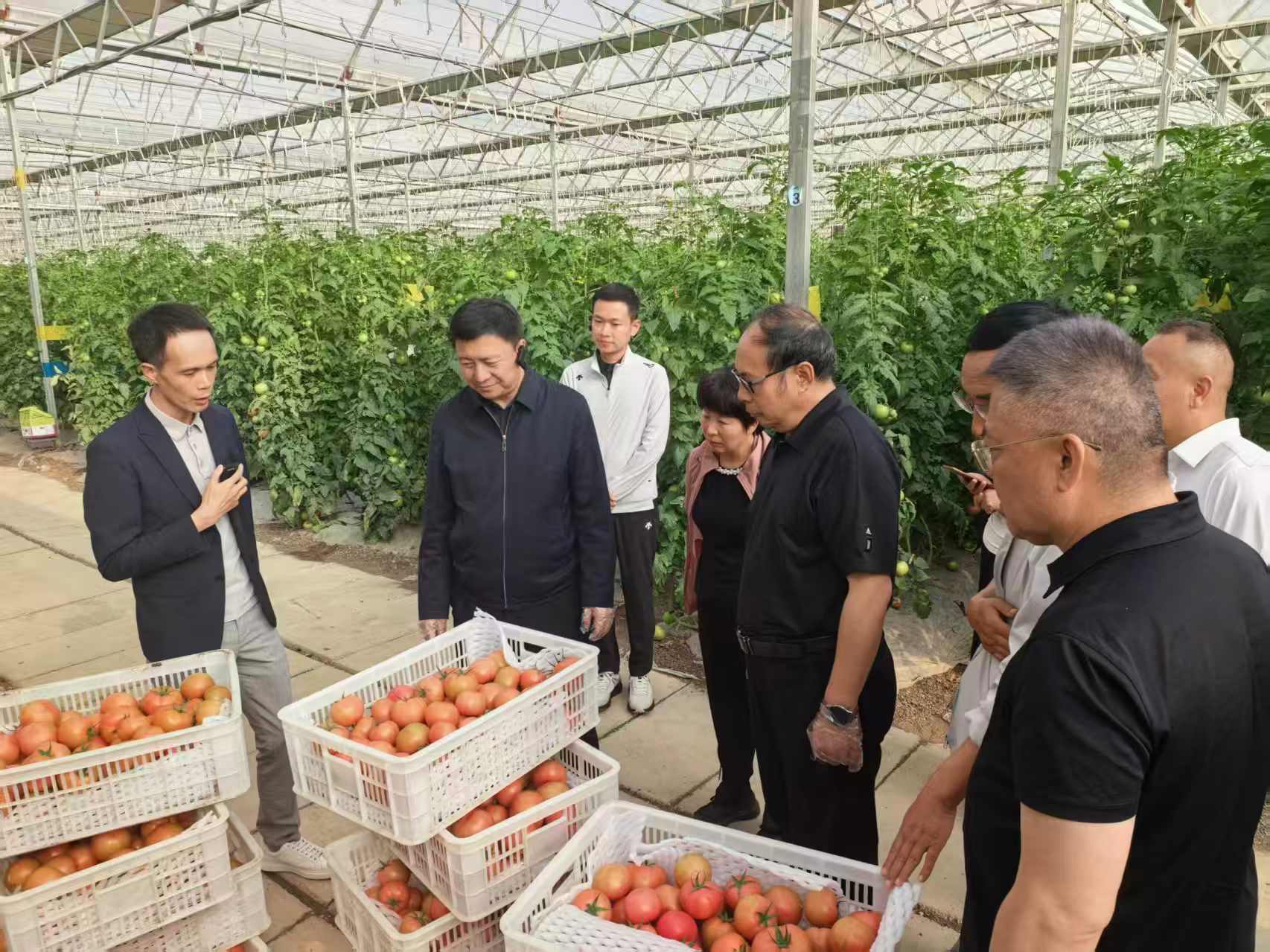 拉斯维加斯娱乐城