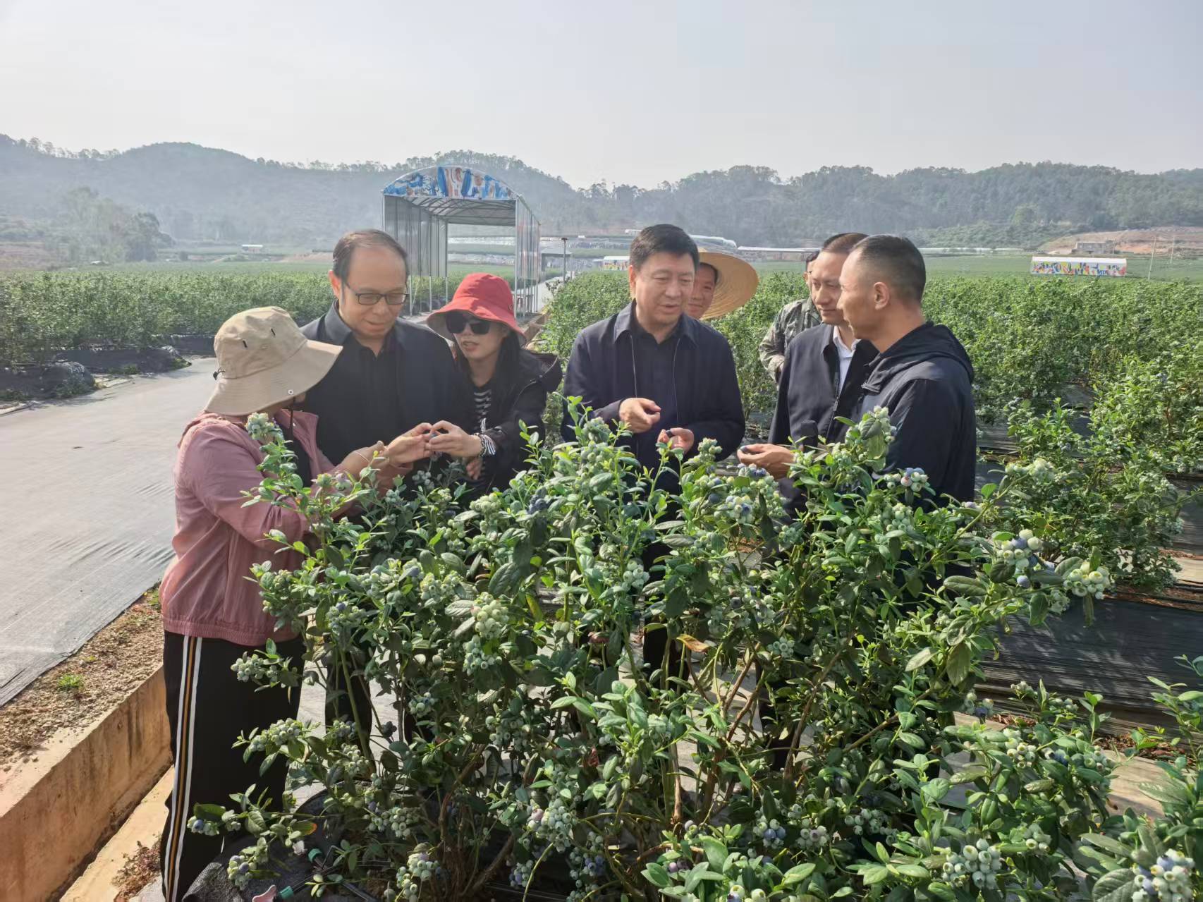 拉斯维加斯娱乐城