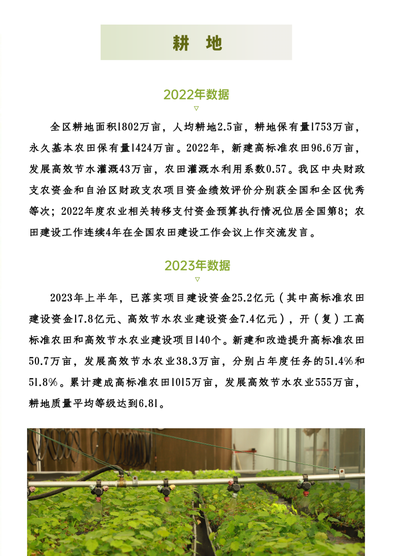 拉斯维加斯娱乐城