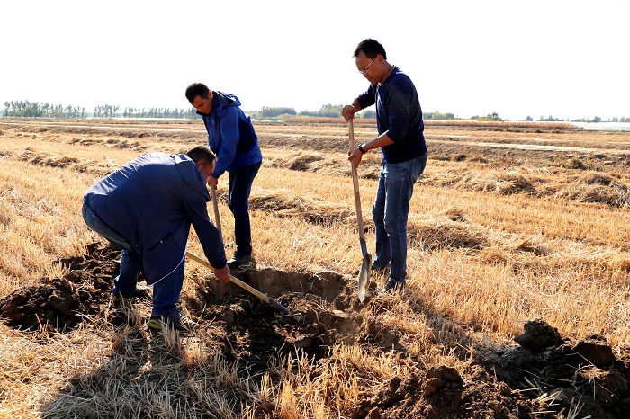 拉斯维加斯娱乐城