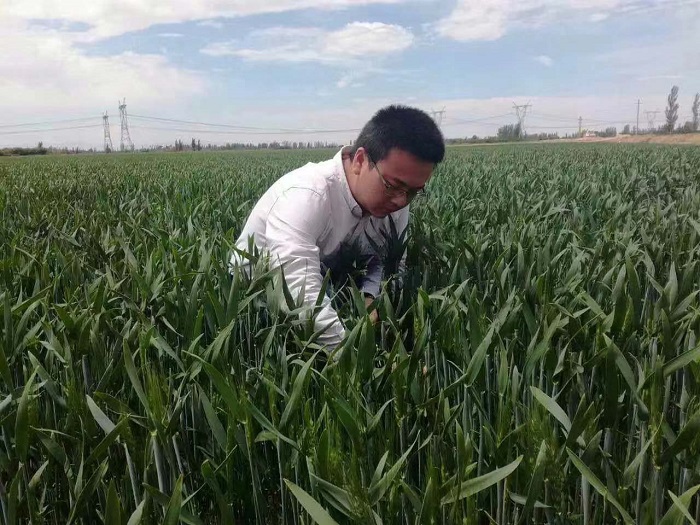 拉斯维加斯娱乐城